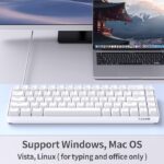 Dierya DK61se Mechanical Keyboard: LED Backlit, 61 Anti-Ghosting Keys, Ultra-Compact USB-C Gaming Mini Keyboard
