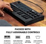 Akai Professional MPK Mini MK3 25-Key MIDI Controller Keyboard(Special Edition) - Image 11